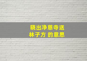 晓出净慈寺送林子方 的意思